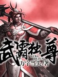 武霸独尊